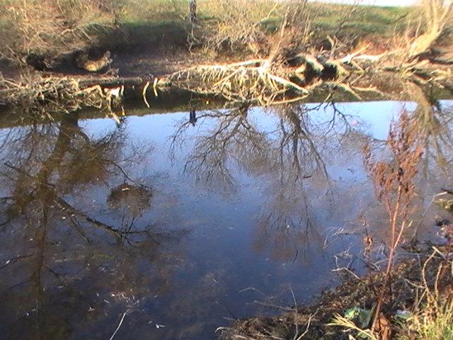 la crap - pic4634.JPG